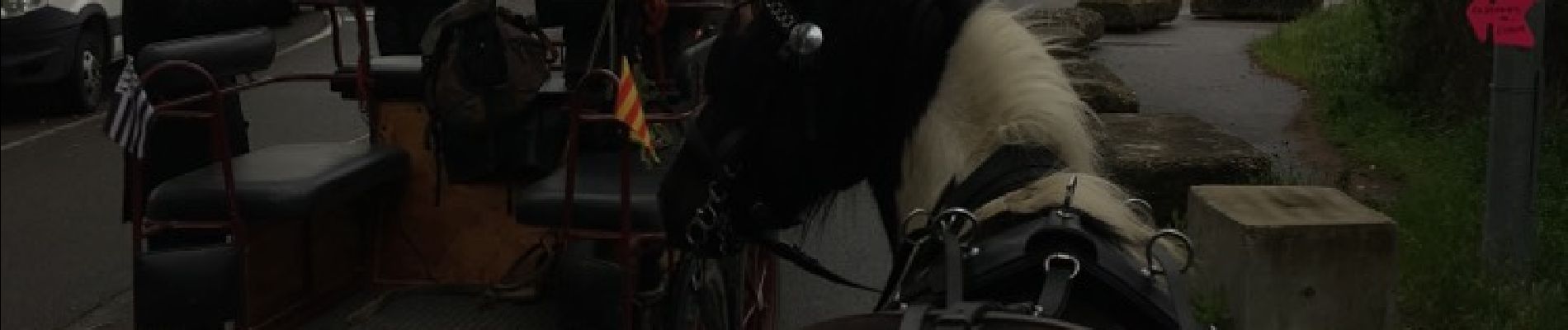 Tocht Paard Avignon - AVIGNON - Photo