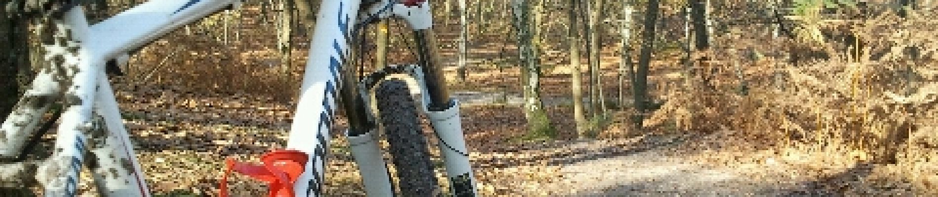 Trail Mountain bike Béthemont-la-Forêt - souvenirs  - Photo