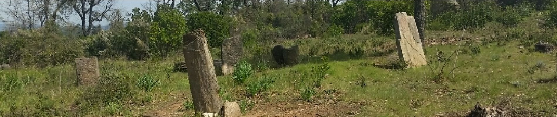 Excursión Senderismo Les Arcs-sur-Argens - les arcs dolmens des terriers - Photo