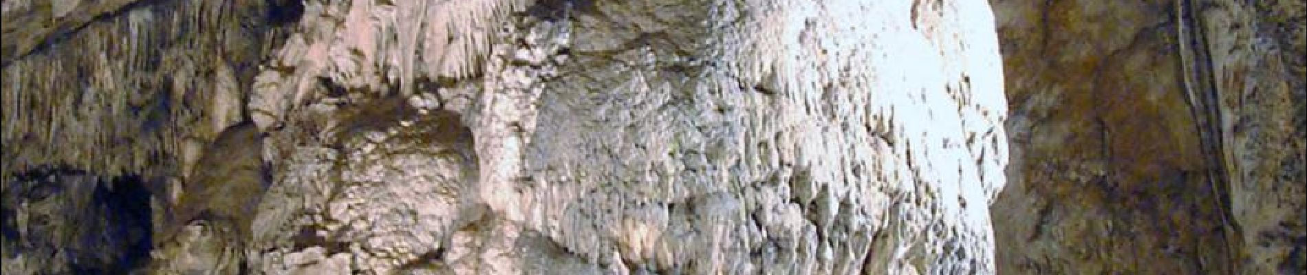 Punto de interés Rochefort - Domain of the Caves of Han - Photo