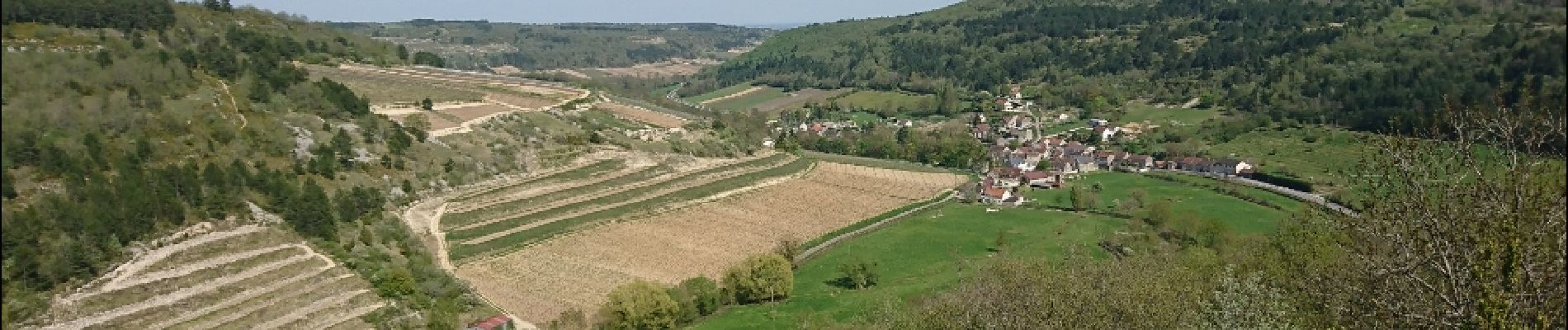 Excursión Senderismo La Rochepot - LA ROCHEPOT ; SAINT-ROMAIN - Photo