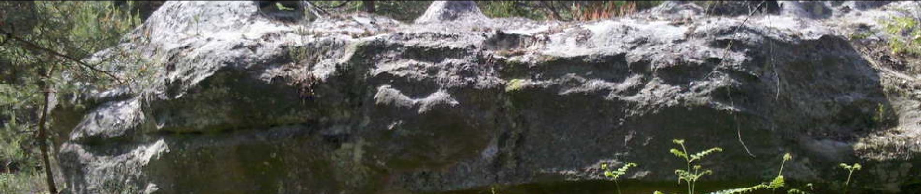 Point of interest Fontainebleau - 11 - Le museau d'un <i>Sarcosuchus imperator</i> - Photo