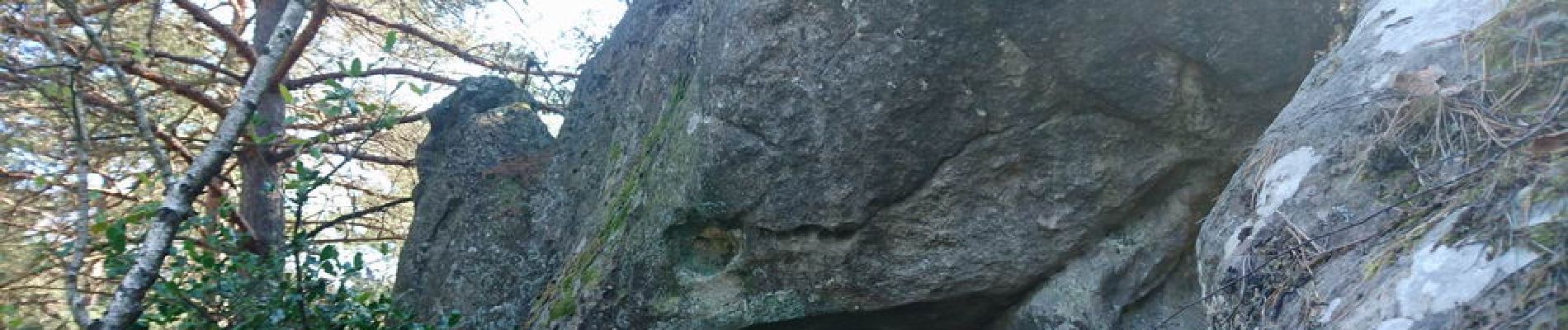 Point of interest Fontainebleau - Un drôle de monstre préhistorique. Dans la montée hors piste - Photo