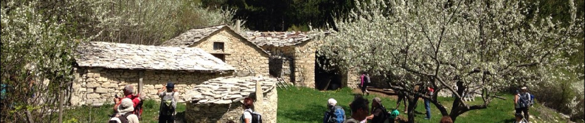 Tour Wandern Saumane - Les Bergeries du Contras - Photo