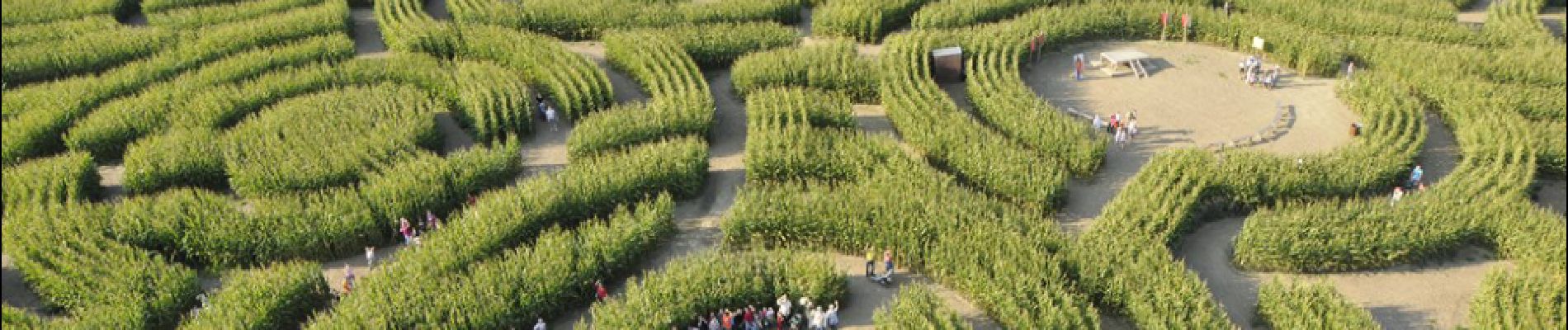 Punto di interesse Durbuy - The park of mazes of Barvaux - Photo