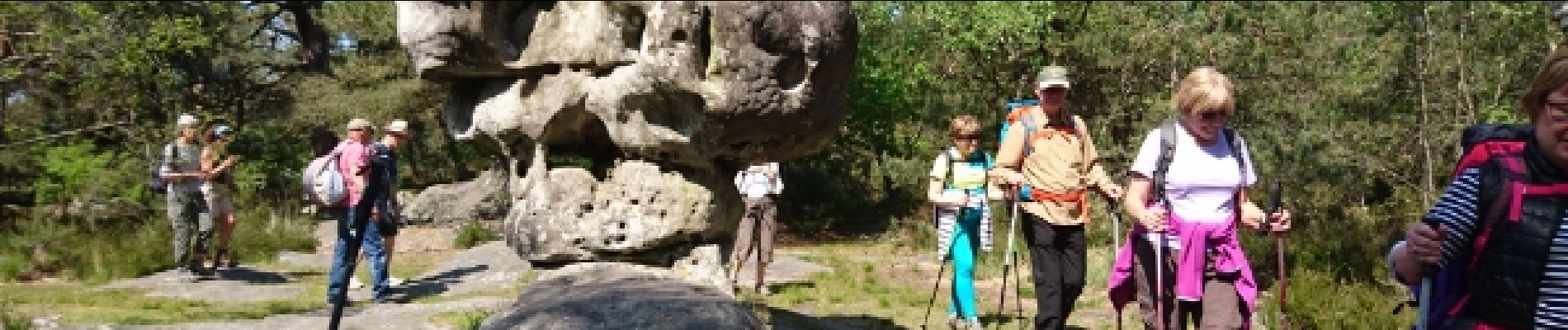 Tocht Stappen Fontainebleau - 180505 EnCours - Photo