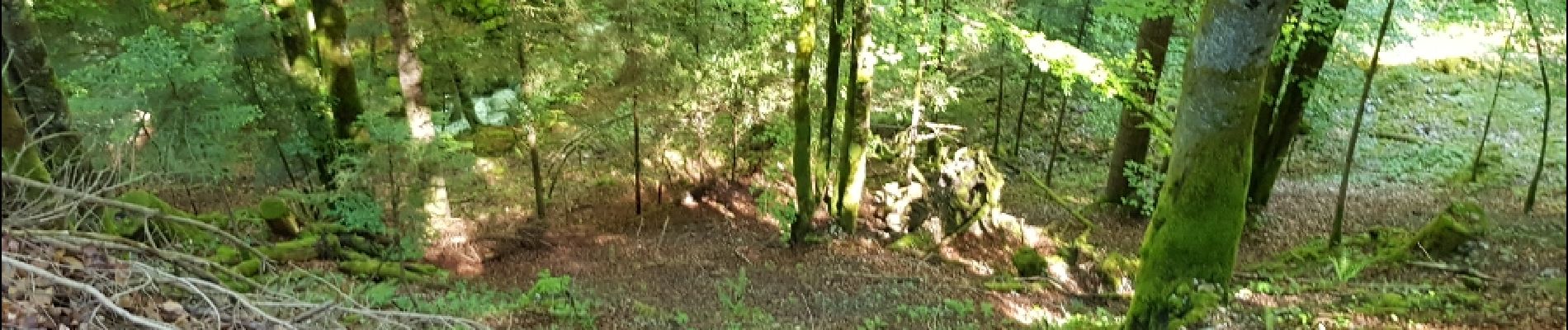 Trail Walking Fillière - Les Molliets-Pertuis-Ablon 10 Mai 2018 - Photo