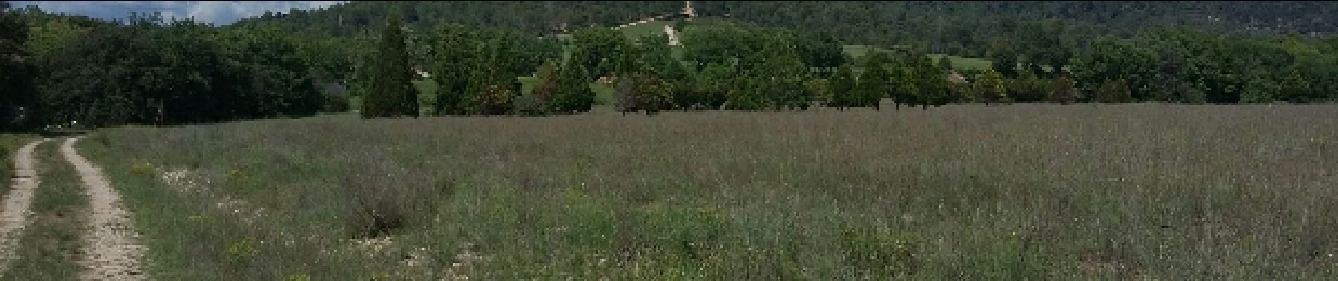 Randonnée Marche Gréoux-les-Bains - Gréoux - Le long du Verdon - Photo