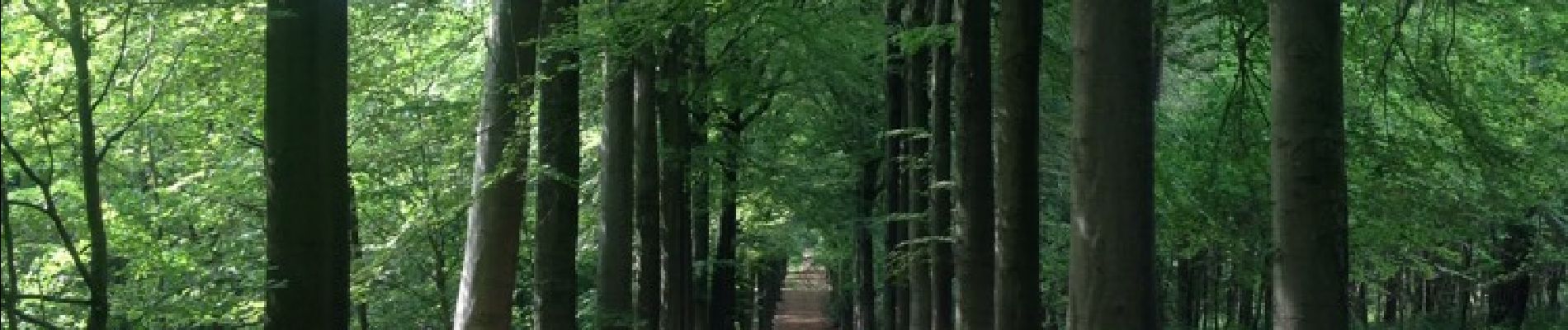 Trail Walking Ypres - Zillebeke - Photo