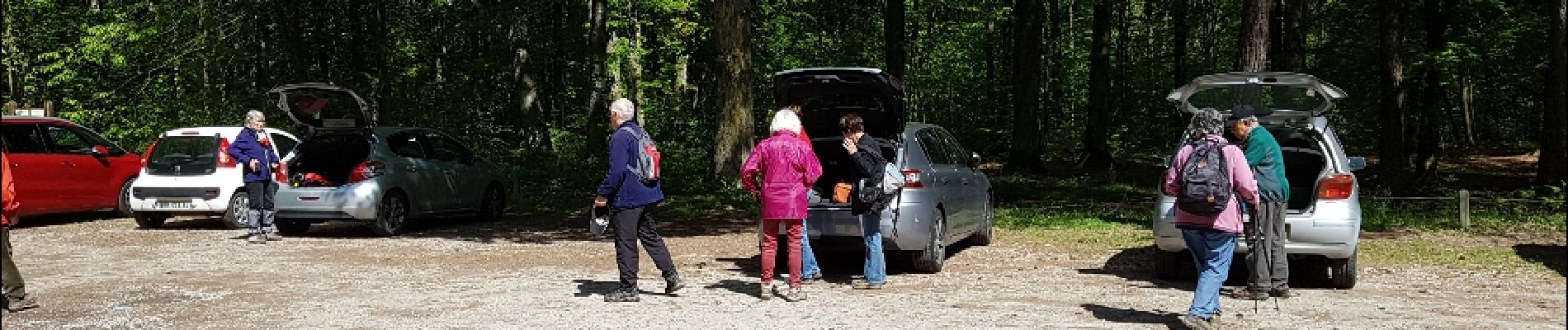 Excursión Senderismo Saint-Léger-en-Yvelines - Etang Rompu 03/05/2018 - Photo