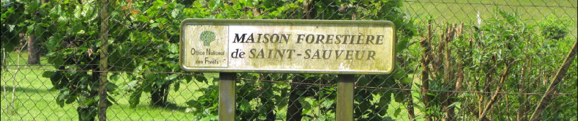 Percorso Marcia Lacroix-Saint-Ouen - en forêt de Compiègne_15_Basse Queue_La Croix St-Sauveur_Les Molineaux - Photo