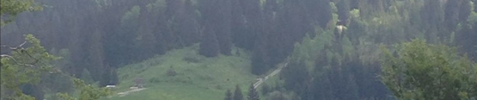 Tour Mountainbike Prémanon - La sambine, les charrières, La combe berthod, retour les arcets. - Photo