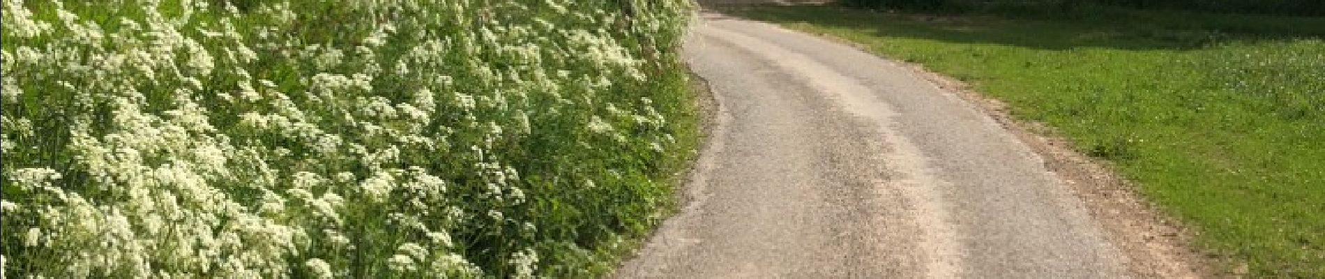 Percorso Marcia Malmedy - jolie promenade de 15 km a Ligneuville (Malmedy) - Photo