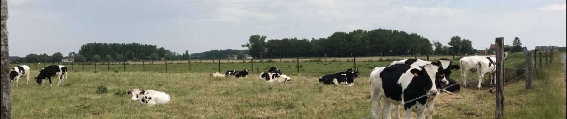 Randonnée Marche Péruwelz - wiers 19 km avec des hésitations  - Photo