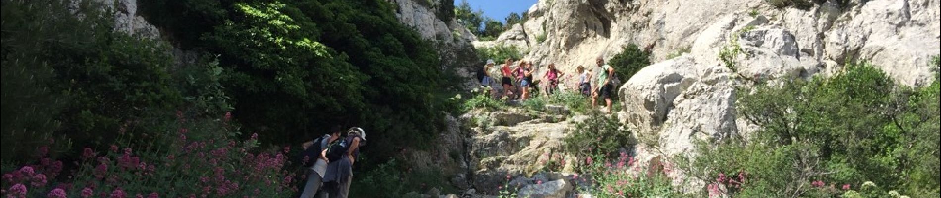 Randonnée Marche Marseille - coucou maman  - Photo