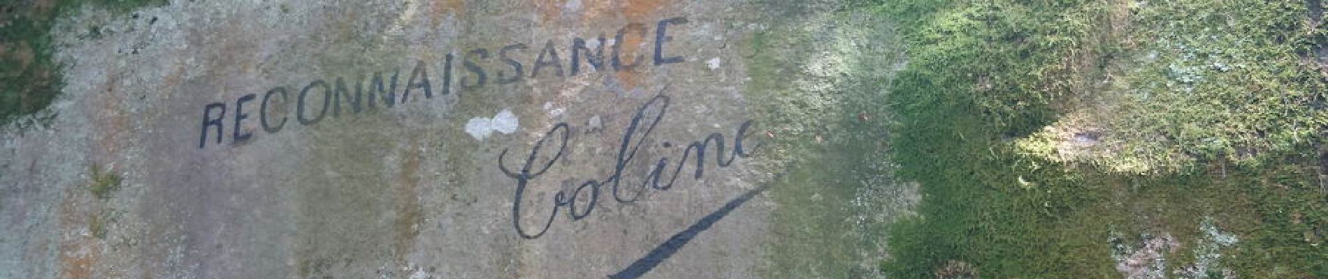 POI Fontainebleau - 28 - La Reconnaissance de Colinet - Photo