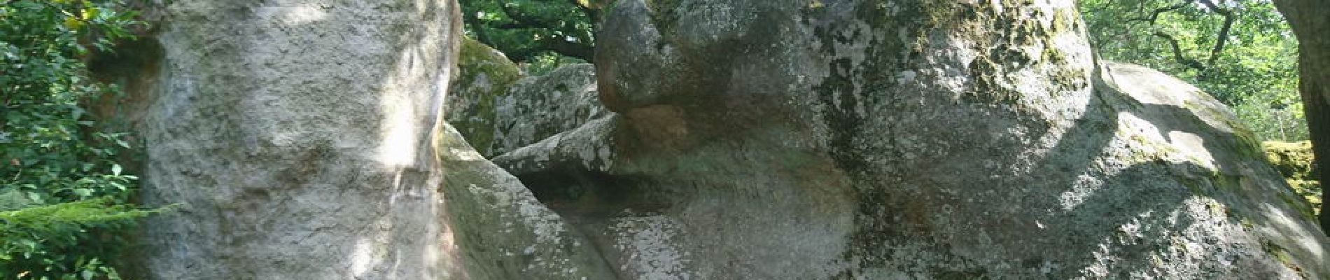 Point d'intérêt Fontainebleau - 06 - Rocher du Chameau (pas de repère) - Photo