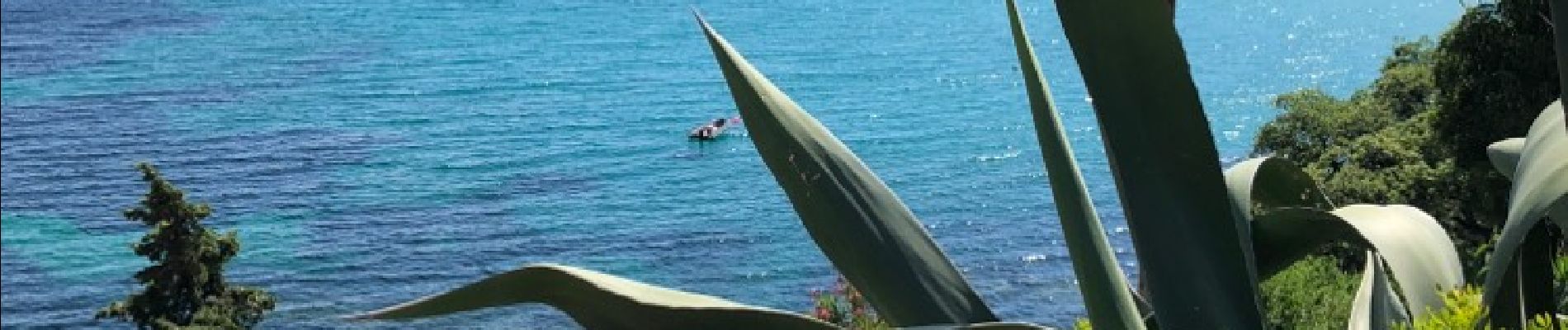 Tocht Stappen Le Lavandou - Sentier du littoral St Clair a` La Fossette et retour  - Photo