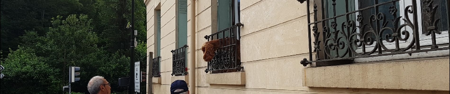 Punto di interesse Versailles - un curieux à la fenêtre - Photo