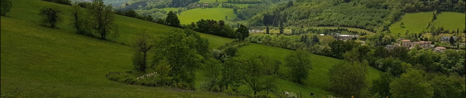 Tocht Stappen Saint-Chamond - Marche de st martin en coualleux - Photo