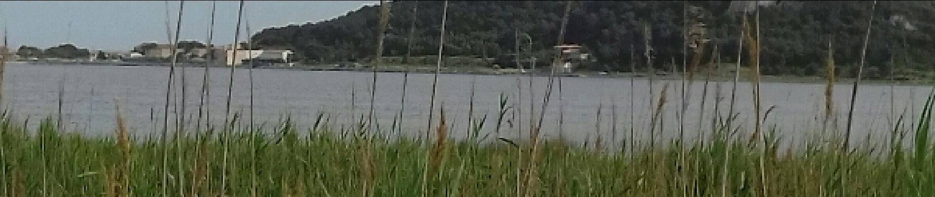 Tocht Stappen Gruissan - tour du lac de Gruissan  - Photo