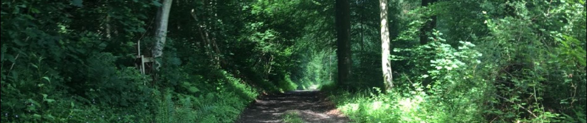 Point d'intérêt Assesse - Maillen - Photo