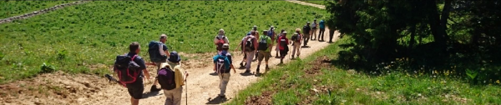 Tour Wandern Divonne-les-Bains - 180619 - Photo