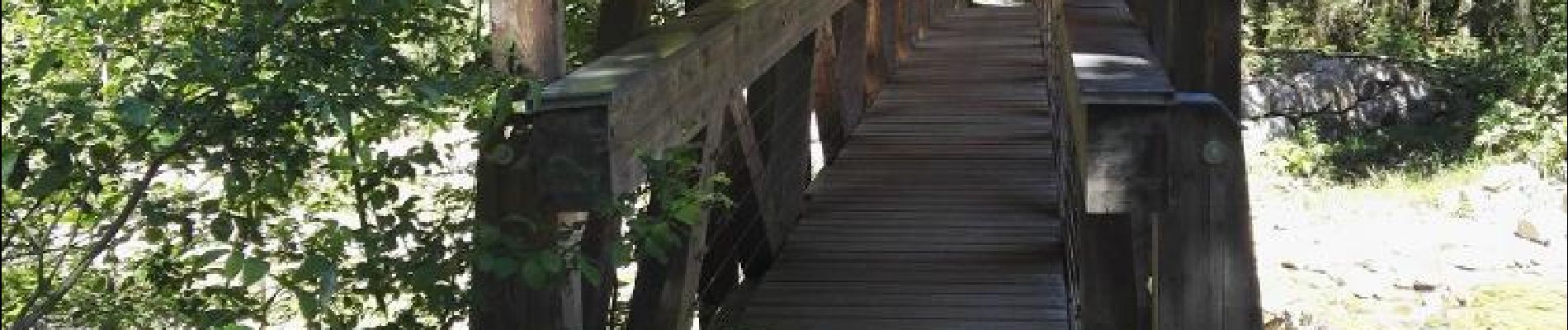 POI Val-de-Charmey - pont en bois  - Photo