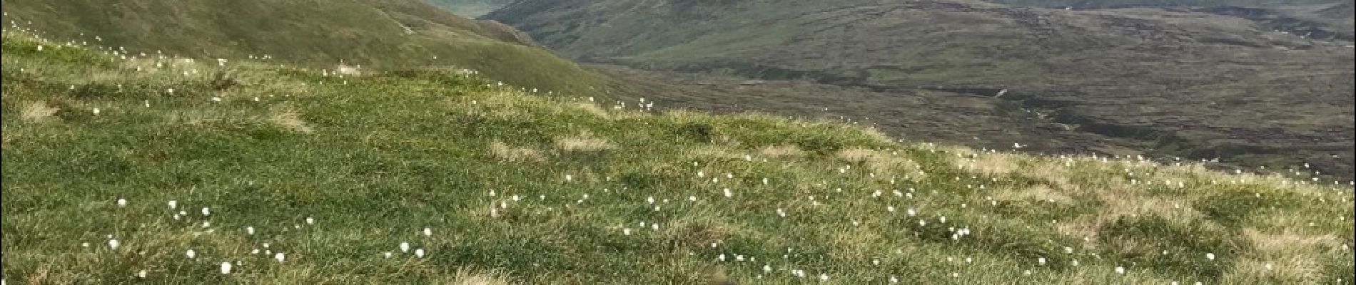 Tocht Stappen Loch Giorra - Meall buidhe  - Photo