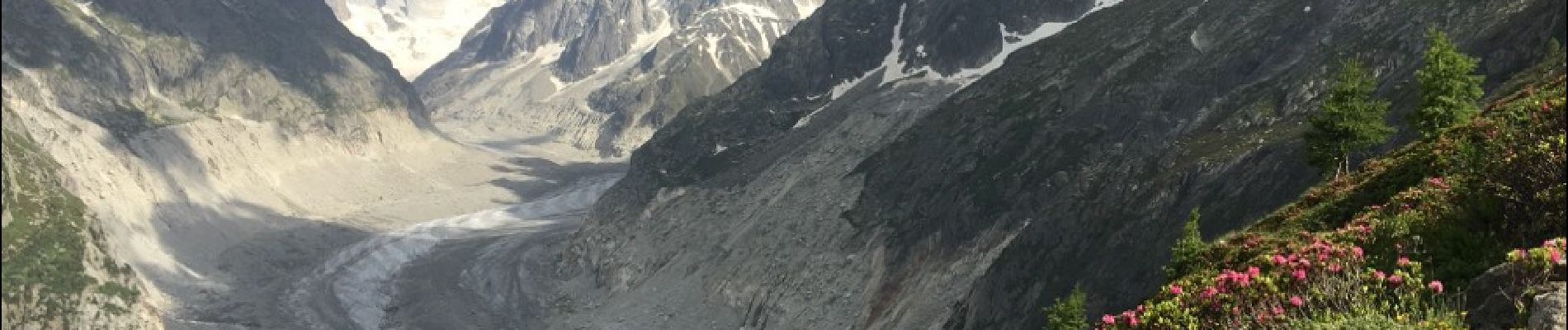 Randonnée Marche Chamonix-Mont-Blanc - Chamonix-Les Mottets-Mer de glaces-Montevers - Photo