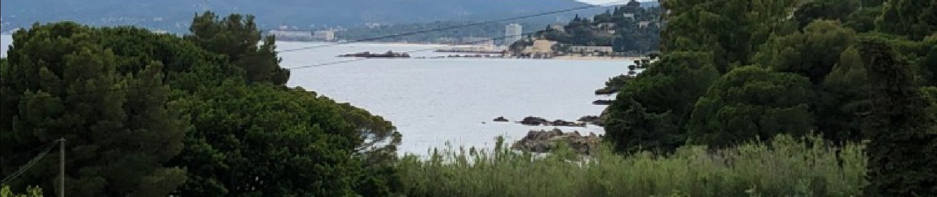 Tour Wandern Le Lavandou - Le Lavandou - Cap Negre - Photo