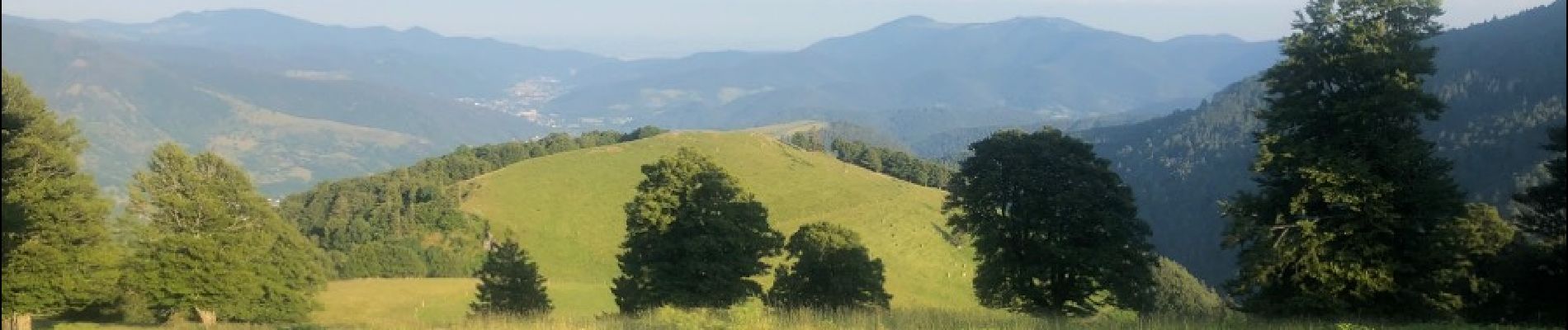 Tocht Stappen Saint-Amarin - Marche Vallée de Thur - Photo