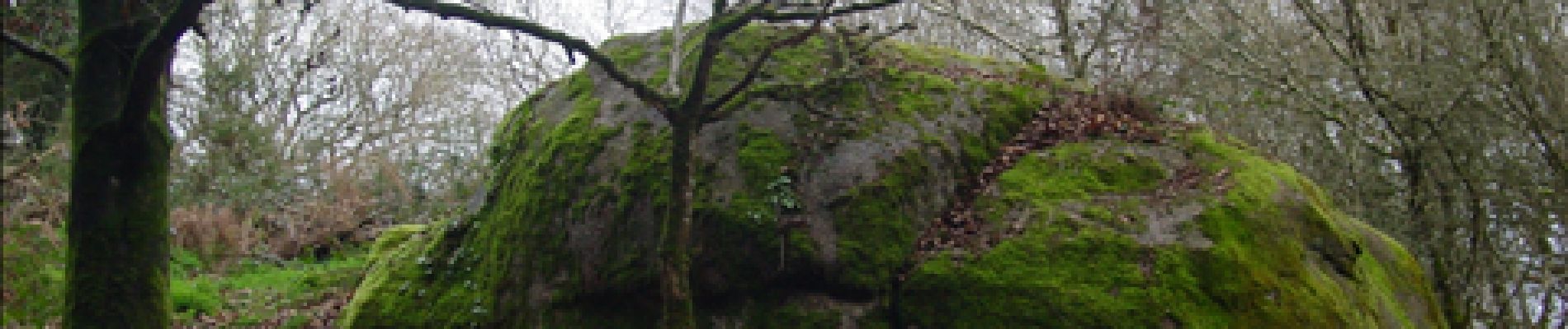 Punto de interés Tonquédec - Boule de granite Kerivoalan Tonquedec - Photo