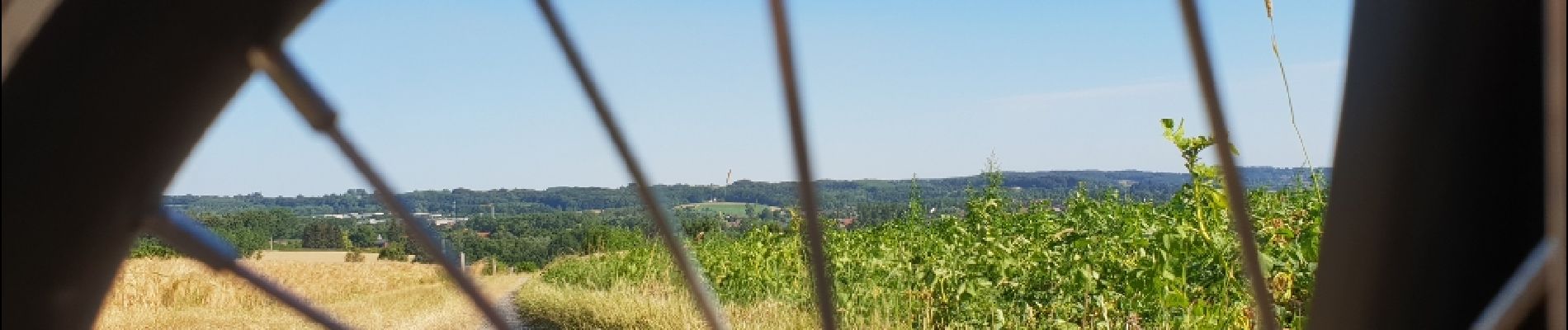 Tocht Mountainbike Ronse - Petits chemins panoramiques autour de Renaix - Photo