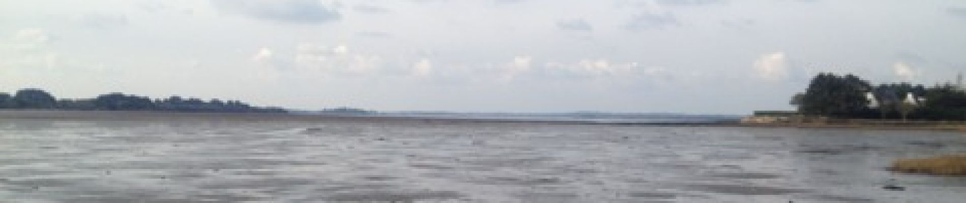 Point d'intérêt Saint-Armel - Vue sur la mer - Photo