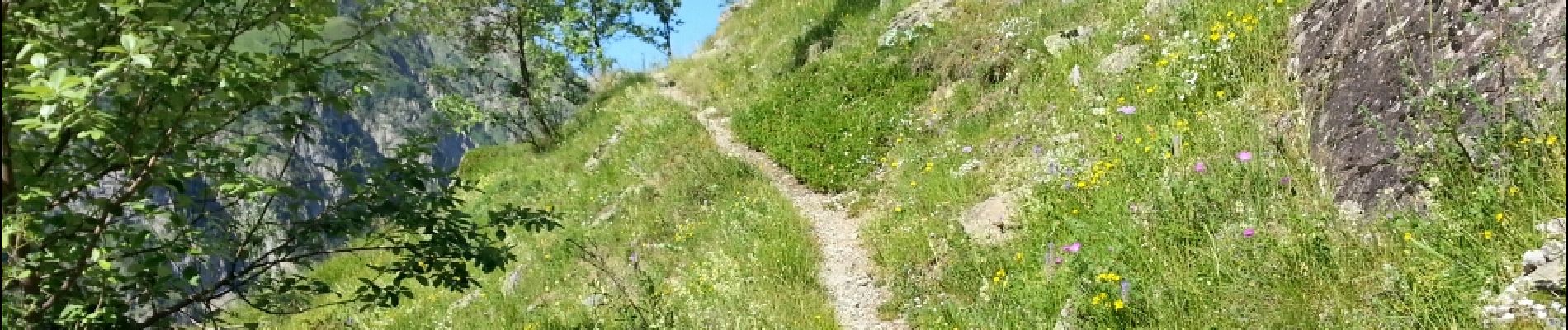 Trail Walking La Chapelle-en-Valgaudémar - Valgaudemar - Rif du Sap Montée de Chalance - 2.6km 225m 1h05 - 2018 07 04 - public - Photo