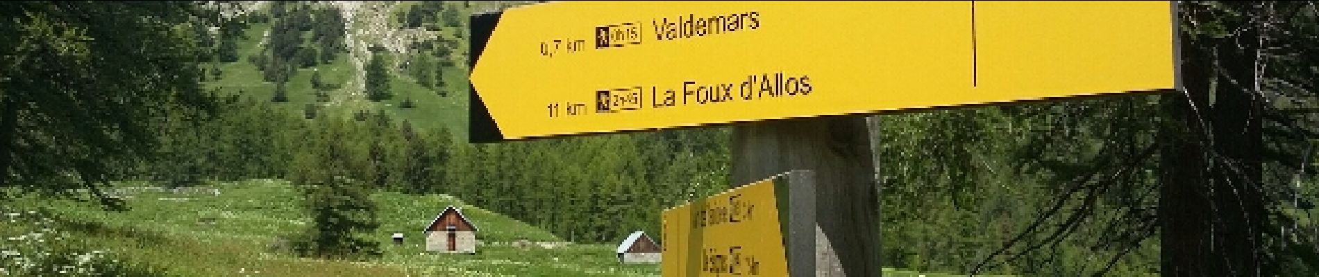 Randonnée Marche Allos - Le Seignus Haut - MF de Valdemars - Photo