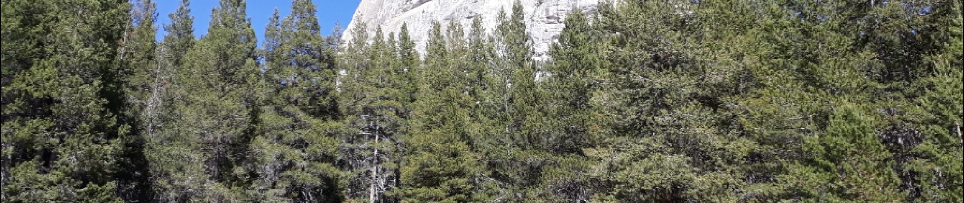 Tocht Stappen Tuolumne Meadows - Dog lake et Lembert Dome - Photo