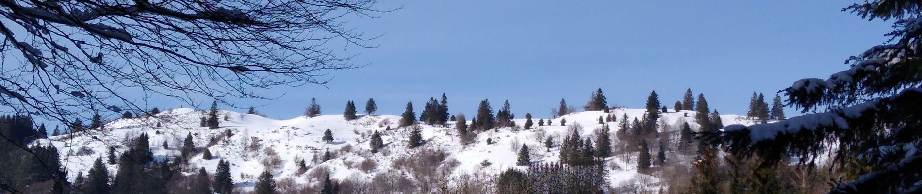 Randonnée Raquettes à neige Saulxures-sur-Moselotte - col des hayes - Photo