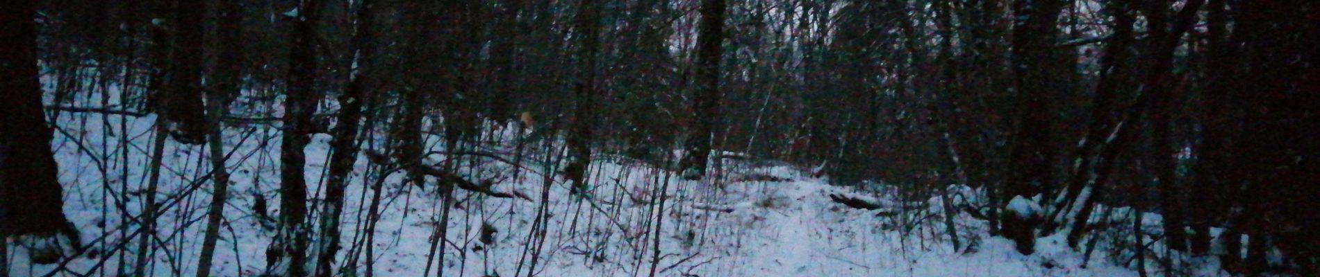 Tour Schneeschuhwandern Chaumont - rando raquette saint roch - Photo