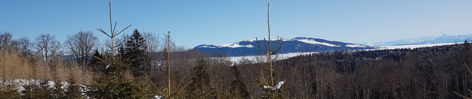 Tocht Sneeuwschoenen Valserhône - Cuvery-Laconay - Photo