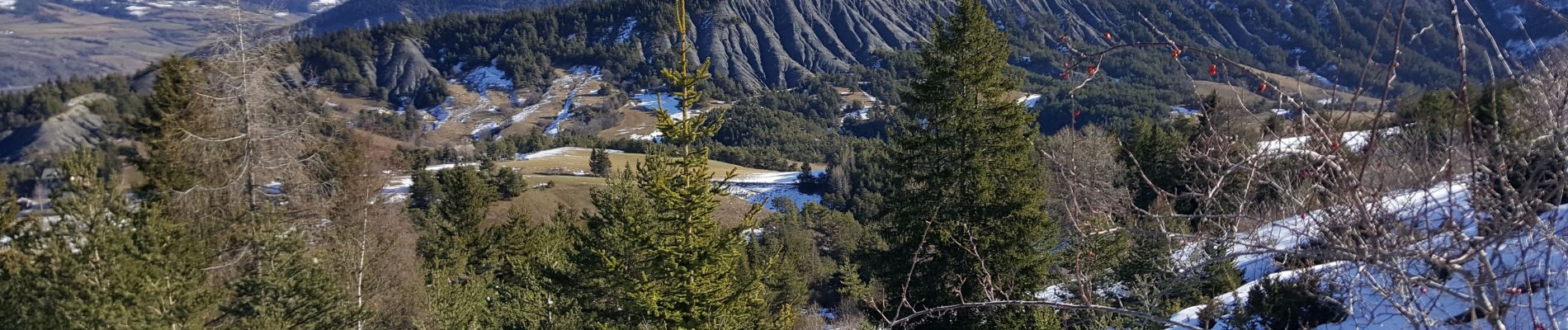 Randonnée Marche Auzet - Col du Fanget - plateau d'Iroire - Négron - vallon du Passavous - Photo