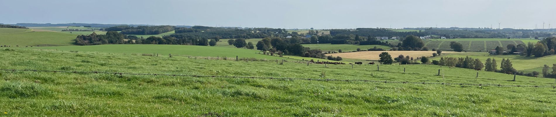 Tocht Stappen Bertogne - 40.069 Renuamont - Givroulle - Photo