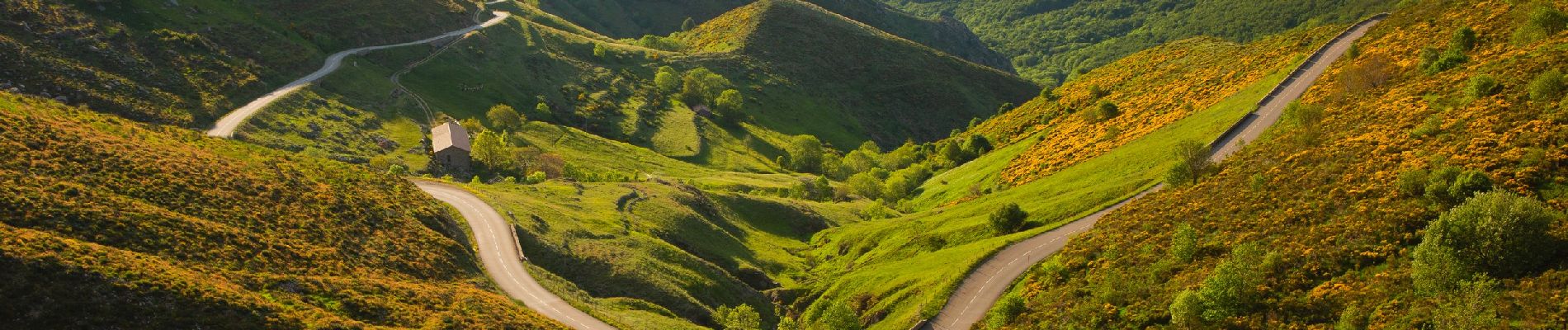 Tour Wandern La Souche - 2021-06-21_14h43m54_La Souche Mont Aigu 11km - Photo