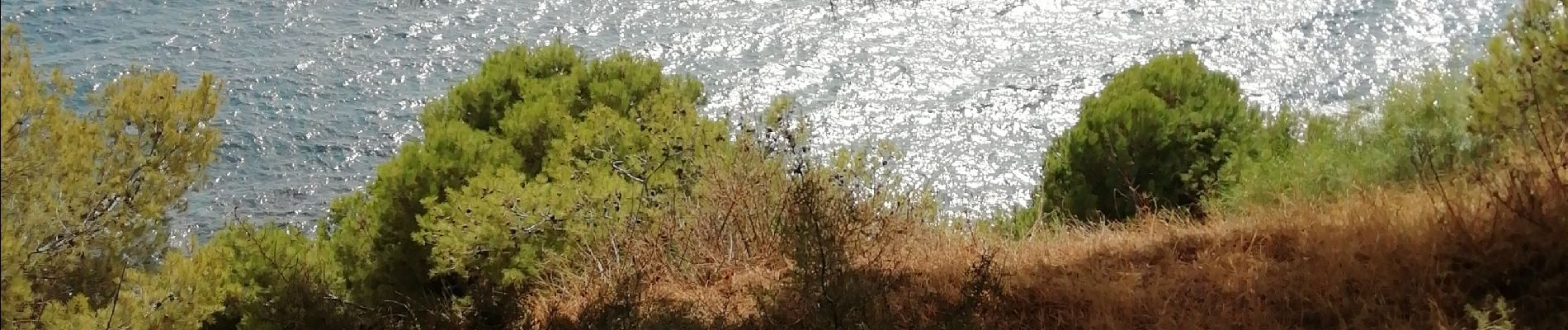 Tour Wandern Salobreña - Depuis l'hotel Salobrena, Costa Aguilera, El pargo et  Salobreña  - Photo