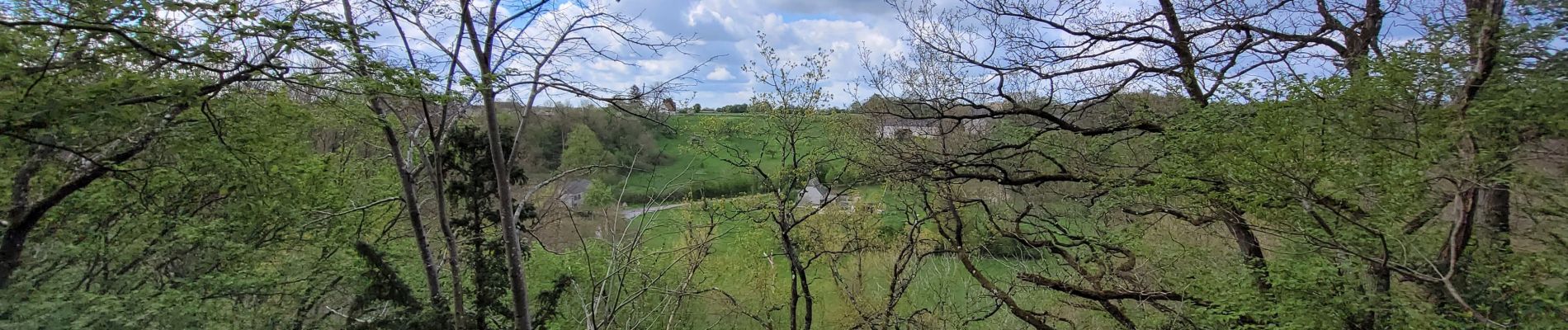 Tocht Stappen Chimay - rando ornitho lompret 17-04-2024 - Photo