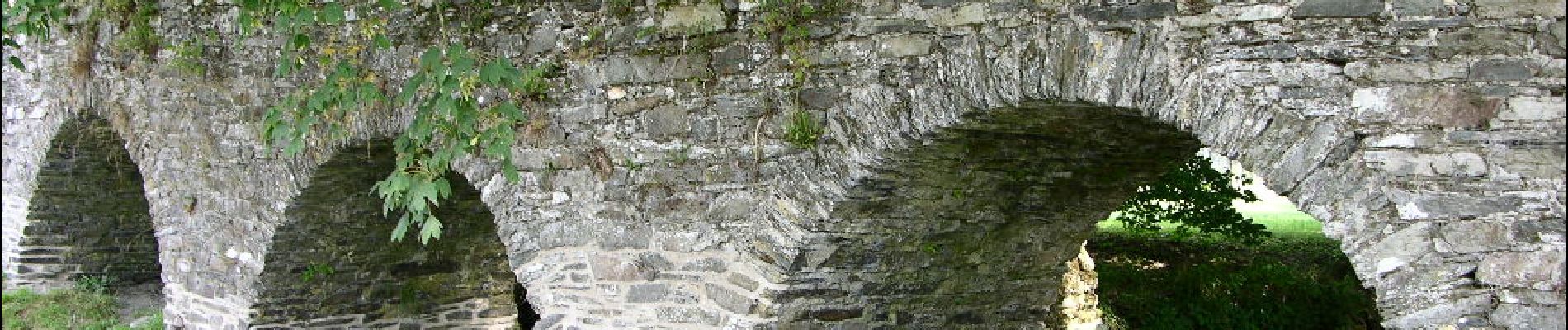 POI Vresse-sur-Semois - De brug van Sint-Lambertus - Photo