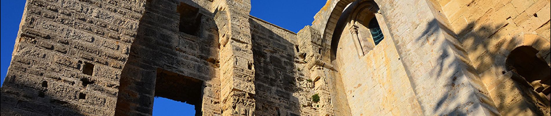 Tocht Stappen Palavas-les-Flots - Palavas-les-flots à Cathédrale St Pierre Maguelone et retour - Photo