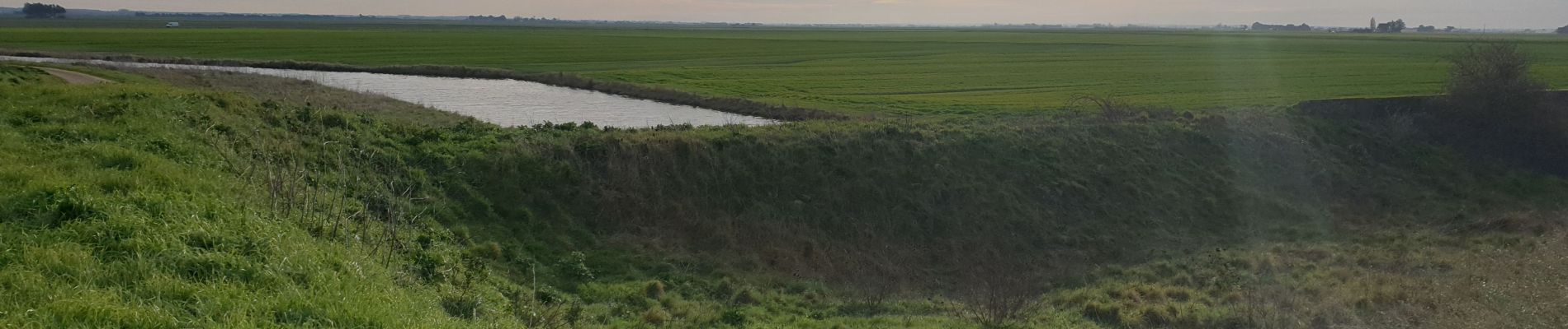 Excursión Senderismo Les Moutiers-en-Retz - Marais de Bouin et Polder de la Coupelasse - Photo