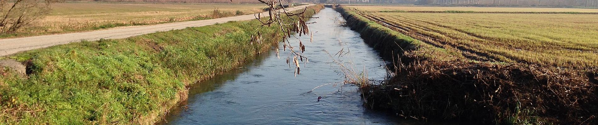 Trail On foot Vigevano - Gran Giro della Sforzesca - Photo